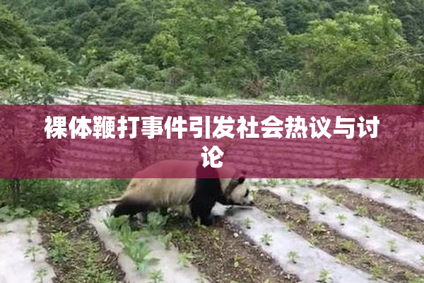 裸体鞭打事件引发社会热议与讨论