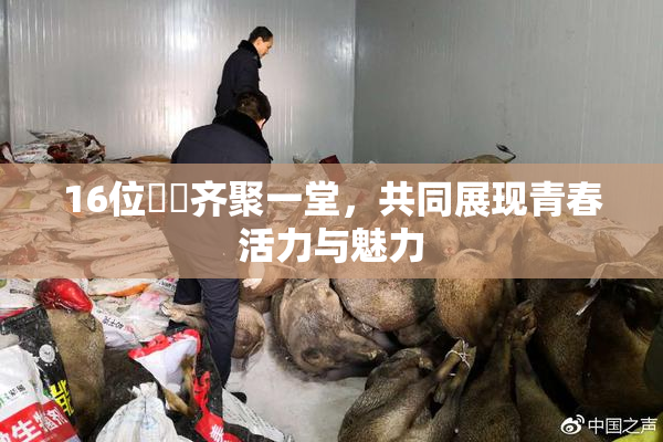 16位妺妺齐聚一堂，共同展现青春活力与魅力