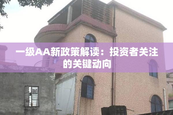 一级AA新政策解读：投资者关注的关键动向