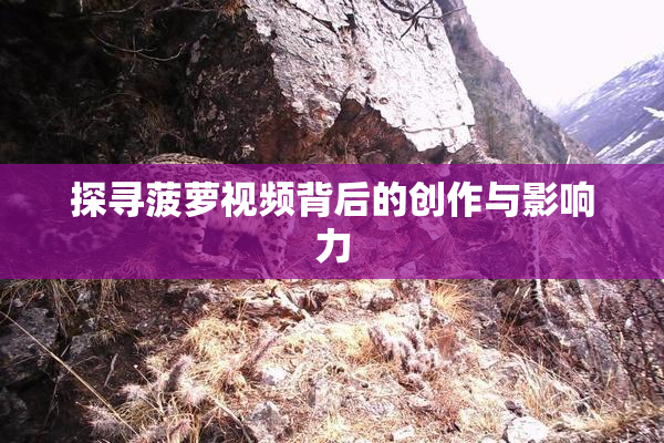 探寻菠萝视频背后的创作与影响力