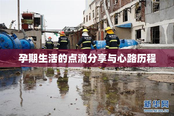 孕期生活的点滴分享与心路历程
