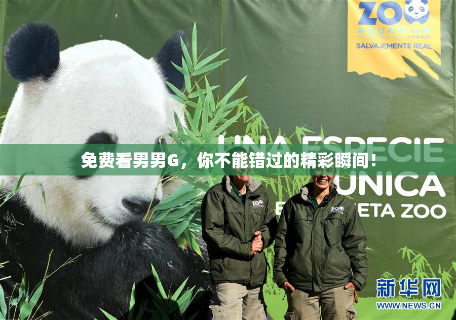 免费看男男G，你不能错过的精彩瞬间！