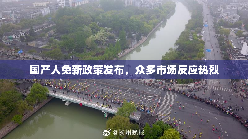 国产人免新政策发布，众多市场反应热烈