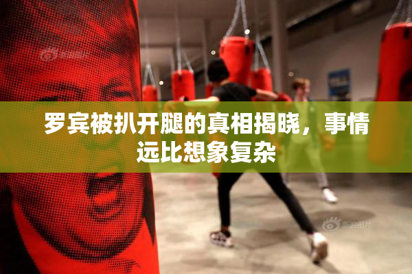 罗宾被扒开腿的真相揭晓，事情远比想象复杂