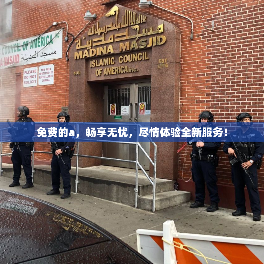 免费的a，畅享无忧，尽情体验全新服务！