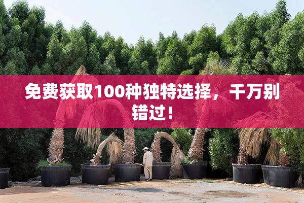 免费获取100种独特选择，千万别错过！