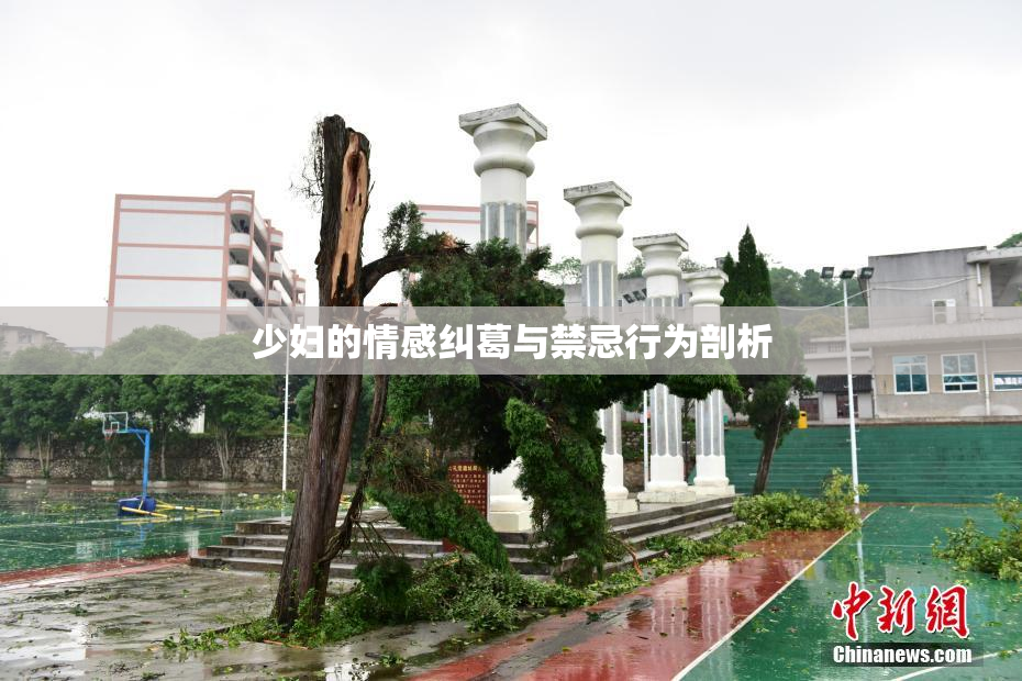 少妇的情感纠葛与禁忌行为剖析