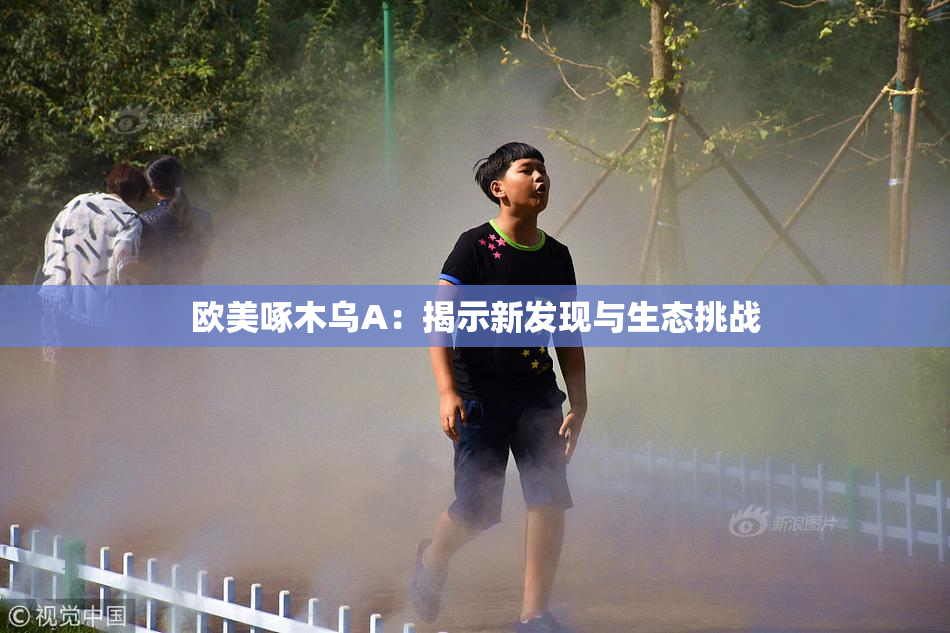 欧美啄木乌A：揭示新发现与生态挑战