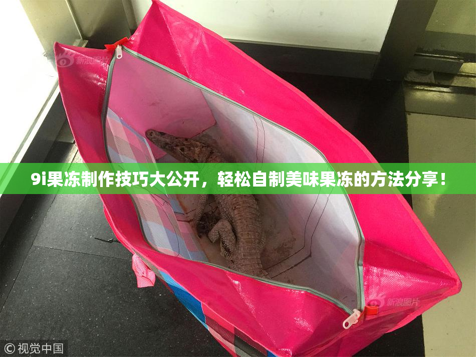 9i果冻制作技巧大公开，轻松自制美味果冻的方法分享！