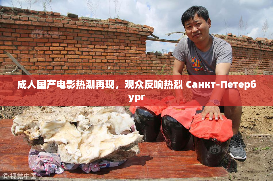 成人国产电影热潮再现，观众反响热烈 Санкт-Петербург