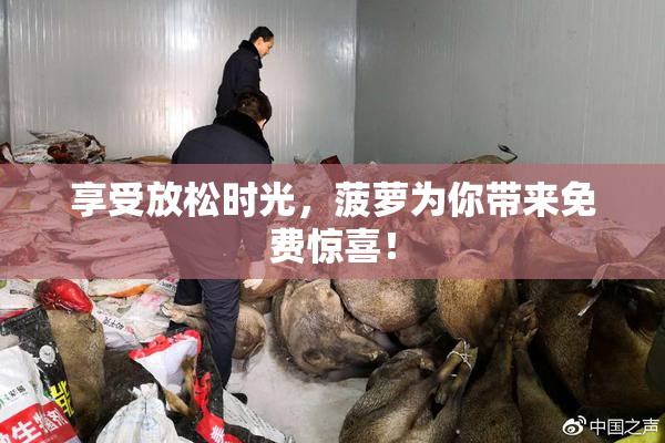 享受放松时光，菠萝为你带来免费惊喜！