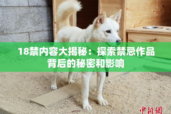 18禁内容大揭秘：探索禁忌作品背后的秘密和影响