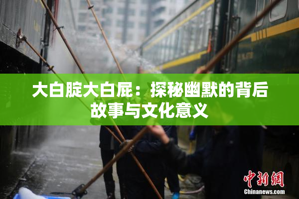 大白腚大白屁：探秘幽默的背后故事与文化意义