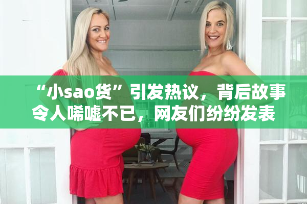 “小sao货”引发热议，背后故事令人唏嘘不已，网友们纷纷发表看法。