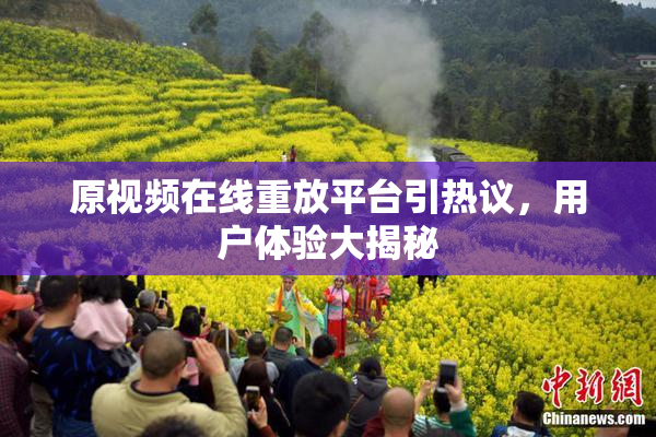 原视频在线重放平台引热议，用户体验大揭秘