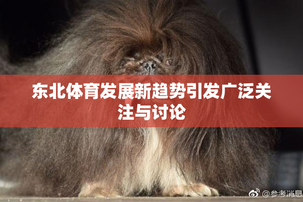 东北体育发展新趋势引发广泛关注与讨论