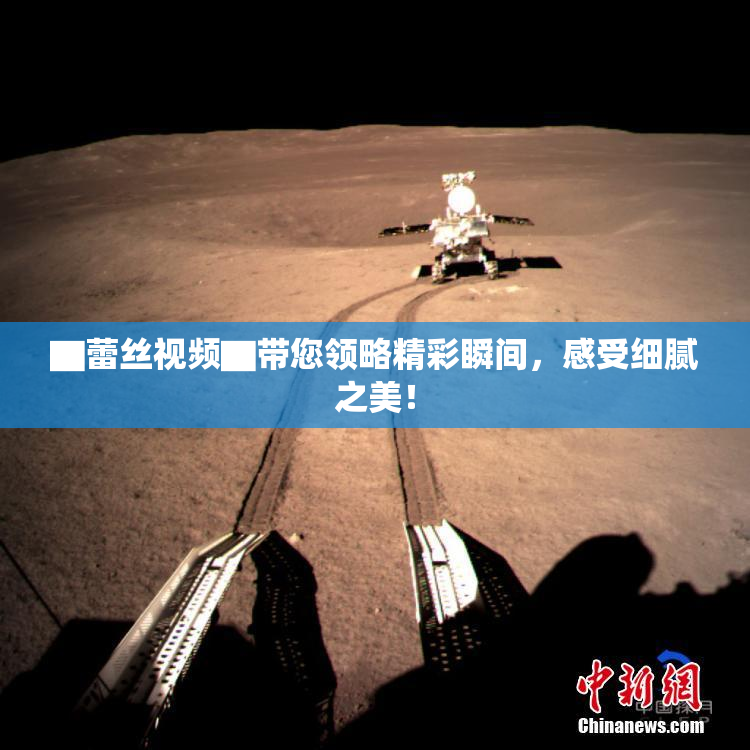 ▇蕾丝视频▇带您领略精彩瞬间，感受细腻之美！