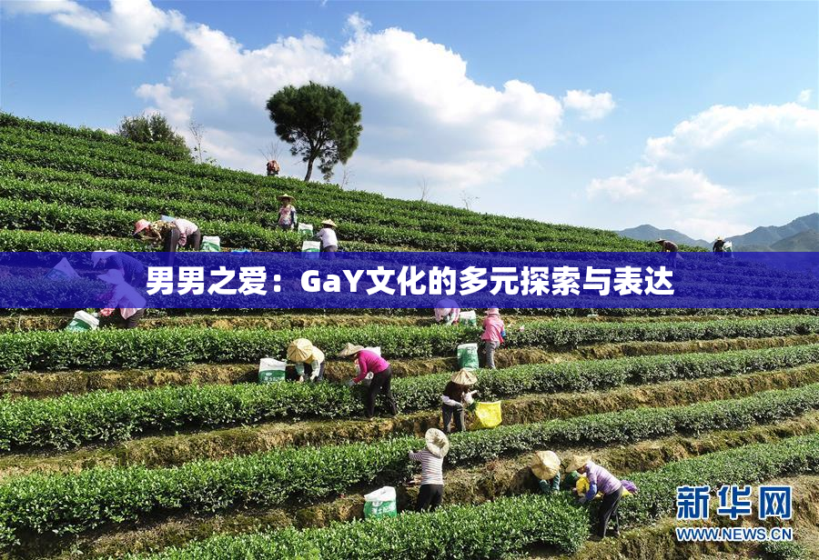 男男之爱：GaY文化的多元探索与表达