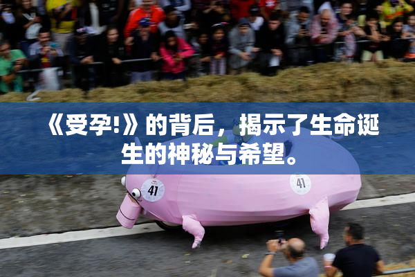 《受孕!》的背后，揭示了生命诞生的神秘与希望。