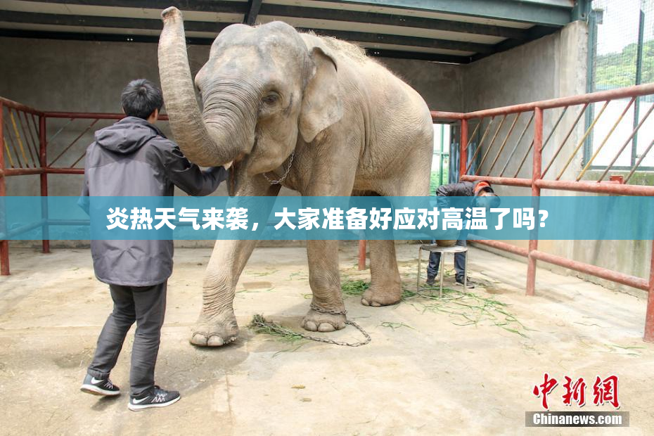 炎热天气来袭，大家准备好应对高温了吗？