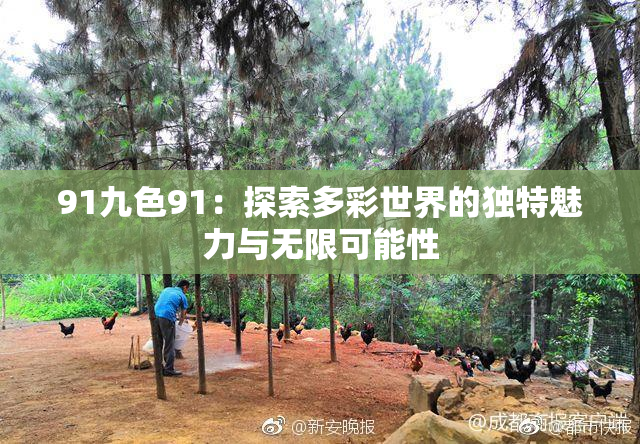 91九色91：探索多彩世界的独特魅力与无限可能性