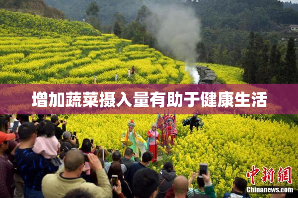 增加蔬菜摄入量有助于健康生活