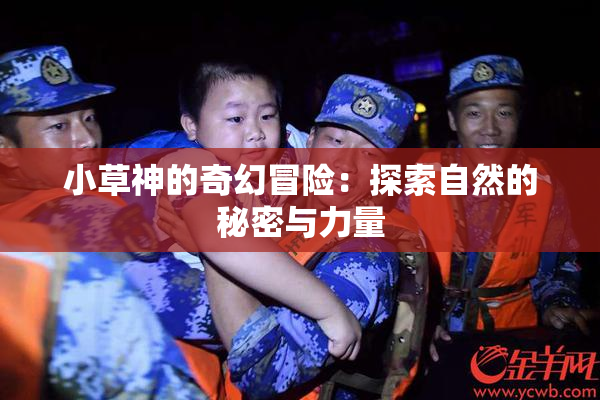 小草神的奇幻冒险：探索自然的秘密与力量