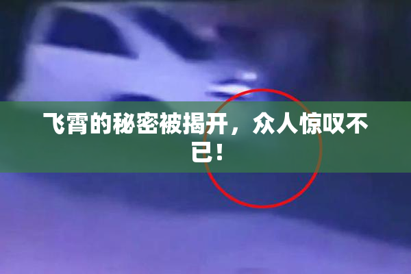 飞霄的秘密被揭开，众人惊叹不已！