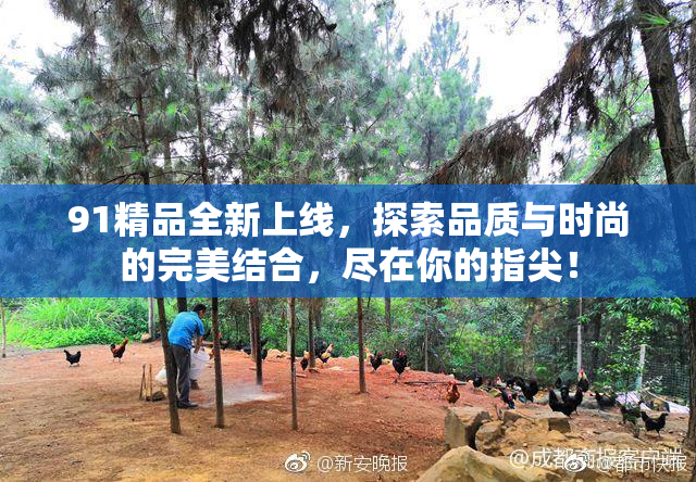 91精品全新上线，探索品质与时尚的完美结合，尽在你的指尖！