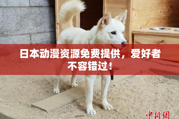 日本动漫资源免费提供，爱好者不容错过！