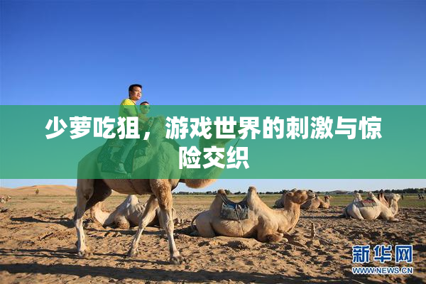 少萝吃狙，游戏世界的刺激与惊险交织
