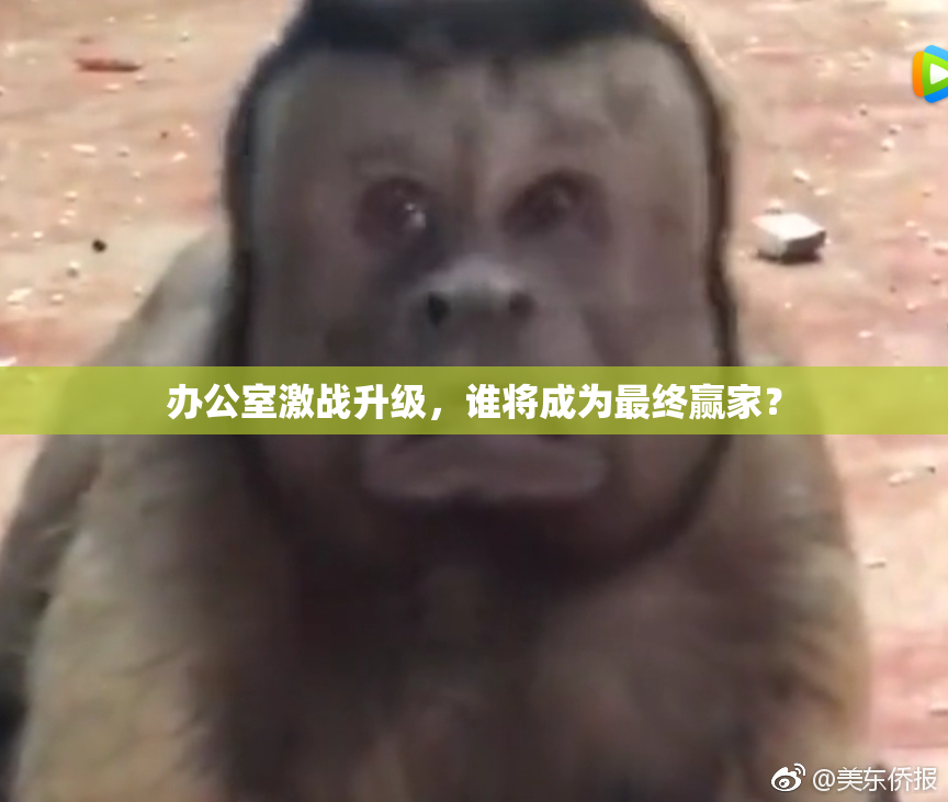办公室激战升级，谁将成为最终赢家？