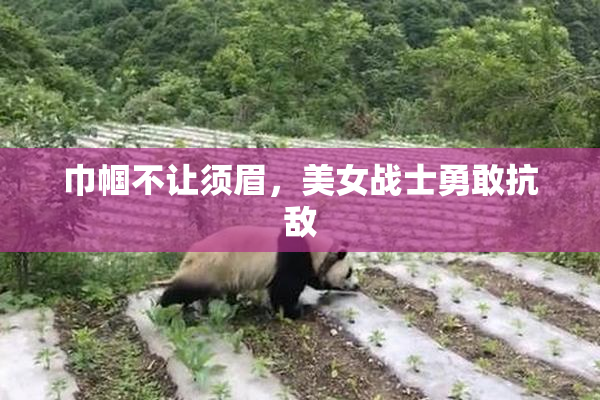 巾帼不让须眉，美女战士勇敢抗敌