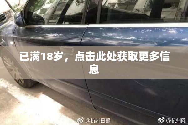 已满18岁，点击此处获取更多信息