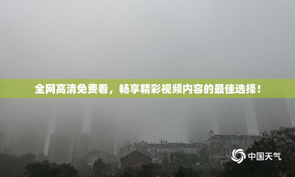 全网高清免费看，畅享精彩视频内容的最佳选择！