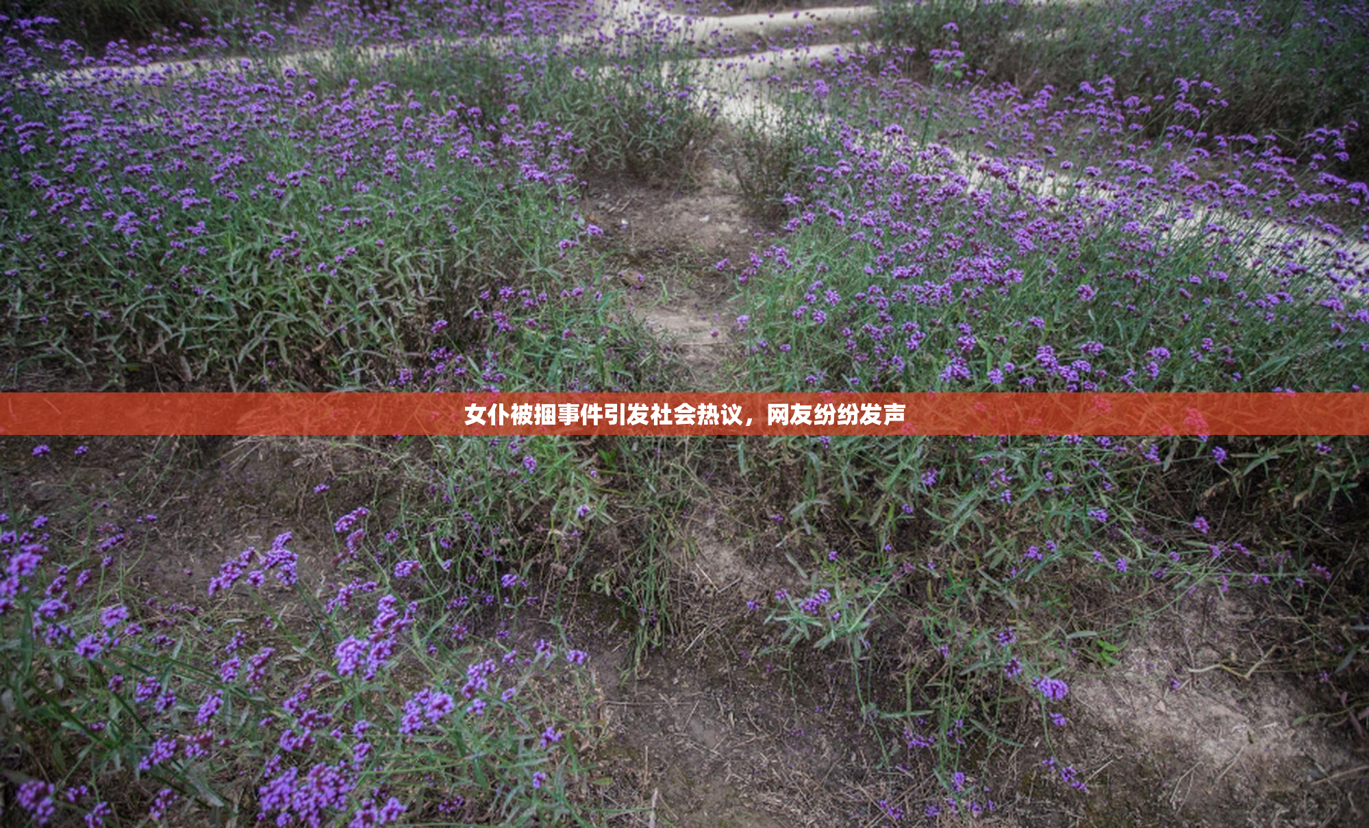 女仆被捆事件引发社会热议，网友纷纷发声