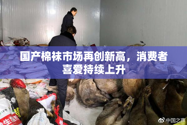 国产棉袜市场再创新高，消费者喜爱持续上升