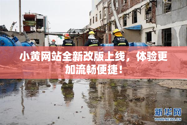 小黄网站全新改版上线，体验更加流畅便捷！