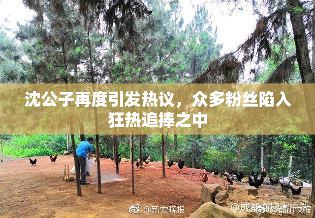 沈公子再度引发热议，众多粉丝陷入狂热追捧之中