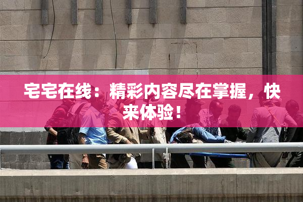 宅宅在线：精彩内容尽在掌握，快来体验！