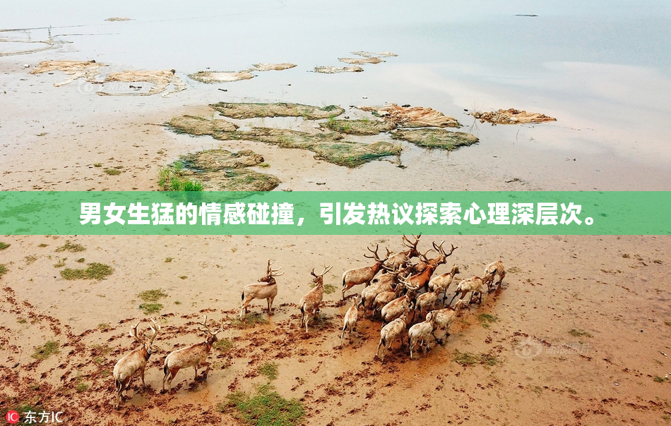 男女生猛的情感碰撞，引发热议探索心理深层次。