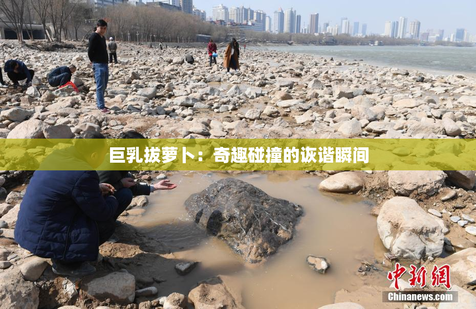 巨乳拔萝卜：奇趣碰撞的诙谐瞬间