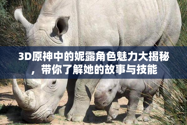 3D原神中的妮露角色魅力大揭秘，带你了解她的故事与技能