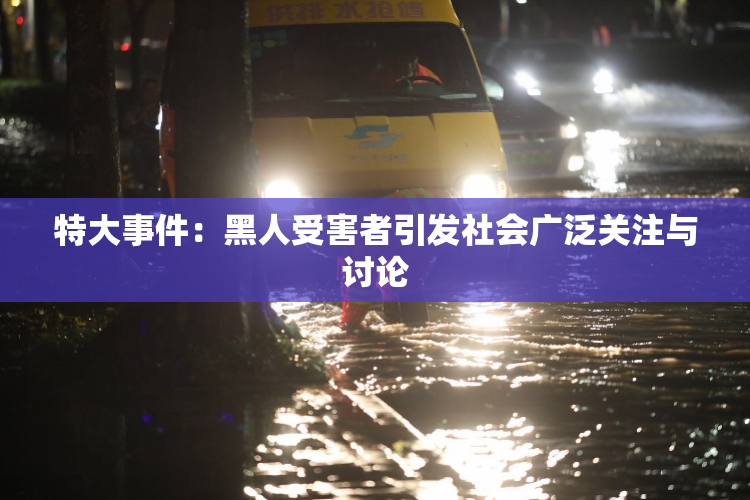 特大事件：黑人受害者引发社会广泛关注与讨论