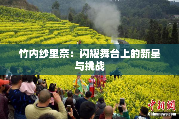 竹内纱里奈：闪耀舞台上的新星与挑战