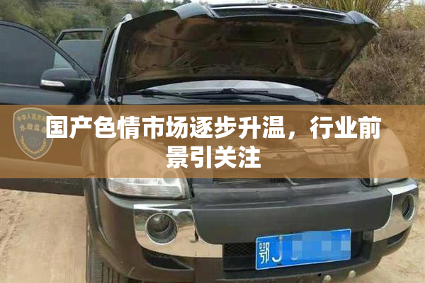 国产色情市场逐步升温，行业前景引关注