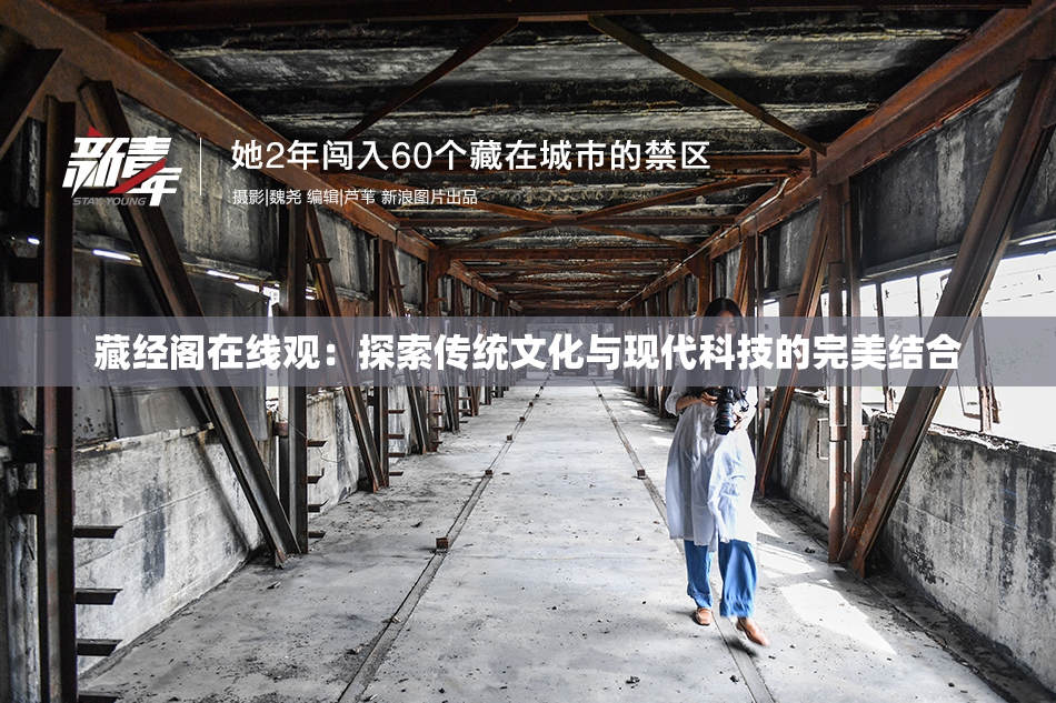 藏经阁在线观：探索传统文化与现代科技的完美结合