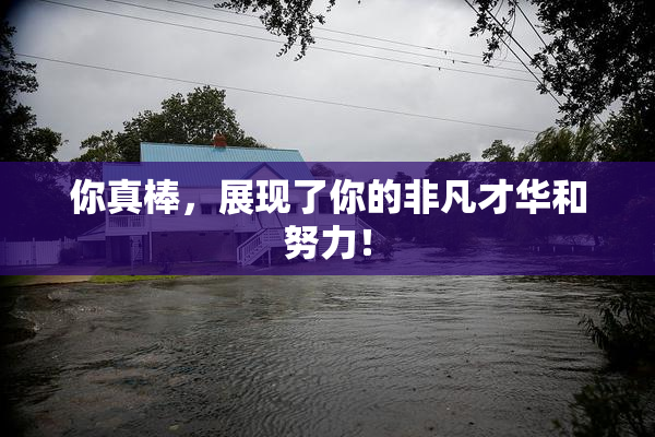 你真棒，展现了你的非凡才华和努力！