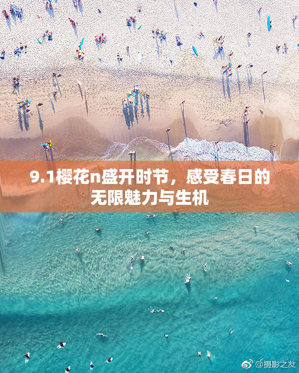 9.1樱花n盛开时节，感受春日的无限魅力与生机