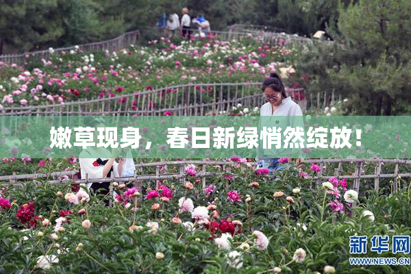 嫩草现身，春日新绿悄然绽放！